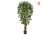NTT Ficus Liana Green 150cm FR-S1